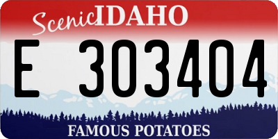 ID license plate E303404