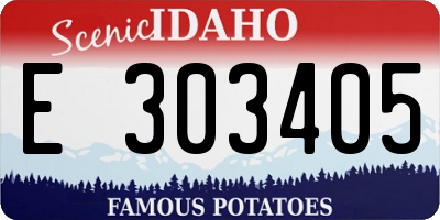 ID license plate E303405