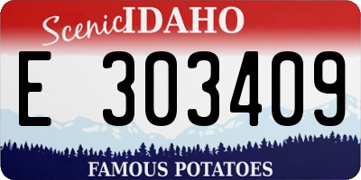ID license plate E303409