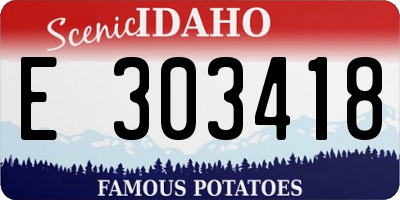 ID license plate E303418