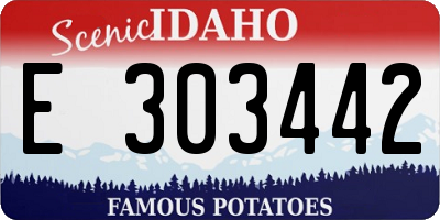 ID license plate E303442