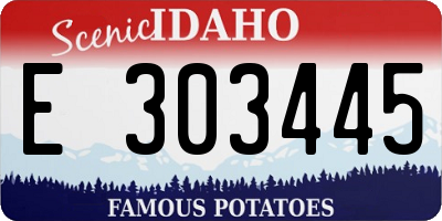 ID license plate E303445