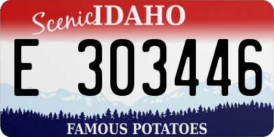 ID license plate E303446