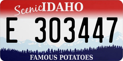 ID license plate E303447