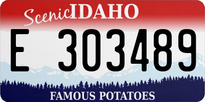 ID license plate E303489