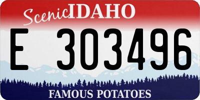 ID license plate E303496