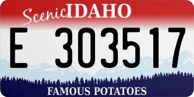 ID license plate E303517