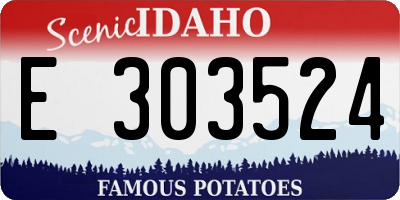ID license plate E303524