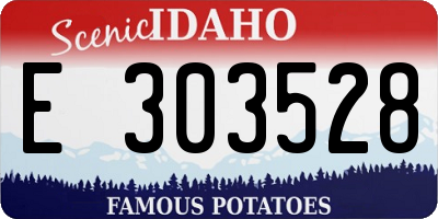 ID license plate E303528
