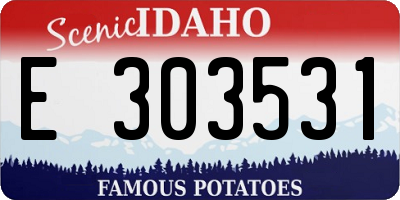 ID license plate E303531