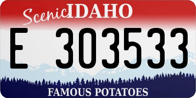 ID license plate E303533