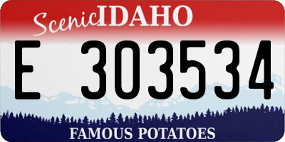 ID license plate E303534