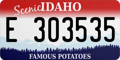 ID license plate E303535