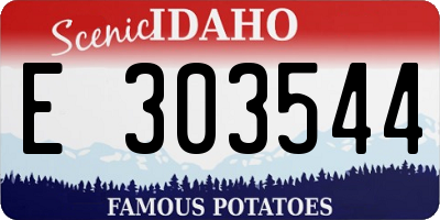 ID license plate E303544