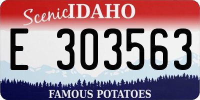 ID license plate E303563