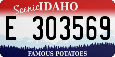 ID license plate E303569