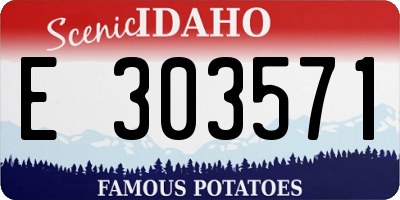 ID license plate E303571