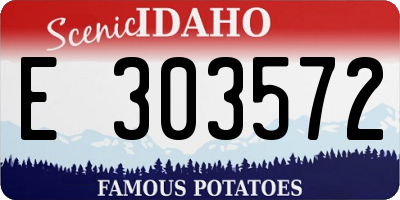 ID license plate E303572