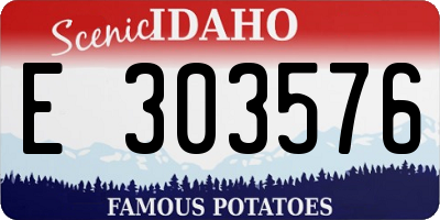 ID license plate E303576