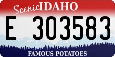 ID license plate E303583