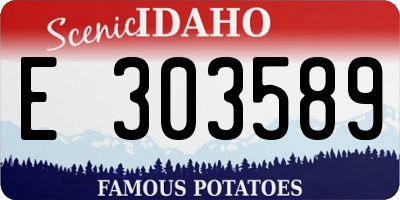 ID license plate E303589
