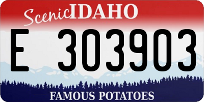 ID license plate E303903