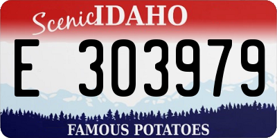 ID license plate E303979