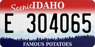 ID license plate E304065