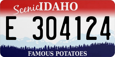 ID license plate E304124