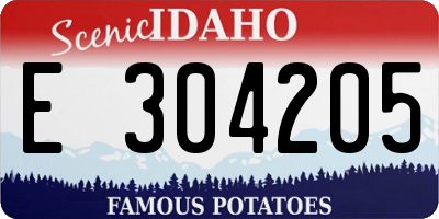ID license plate E304205