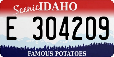 ID license plate E304209