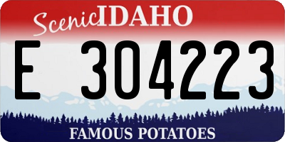 ID license plate E304223