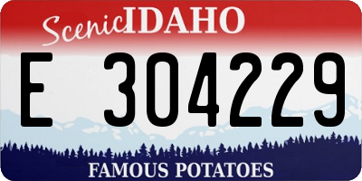 ID license plate E304229
