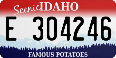 ID license plate E304246