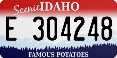 ID license plate E304248