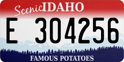 ID license plate E304256