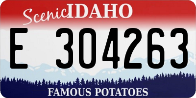 ID license plate E304263