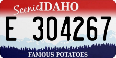 ID license plate E304267