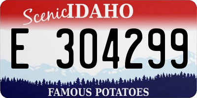 ID license plate E304299