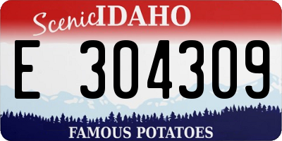 ID license plate E304309
