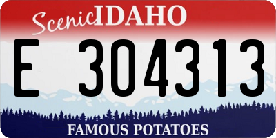 ID license plate E304313