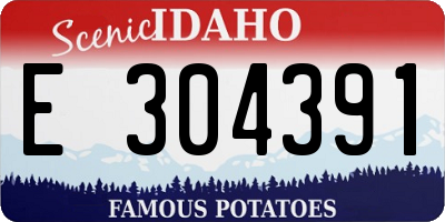 ID license plate E304391