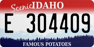 ID license plate E304409