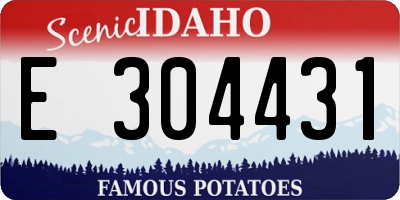 ID license plate E304431