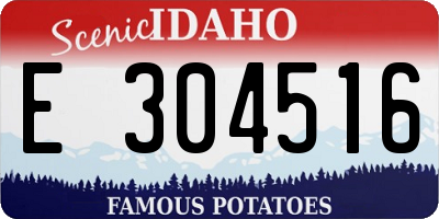 ID license plate E304516