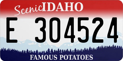 ID license plate E304524