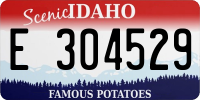 ID license plate E304529