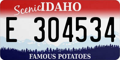 ID license plate E304534
