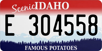 ID license plate E304558