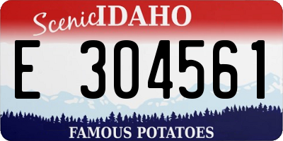 ID license plate E304561